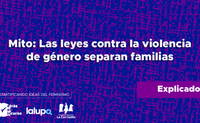 stop fake feministas